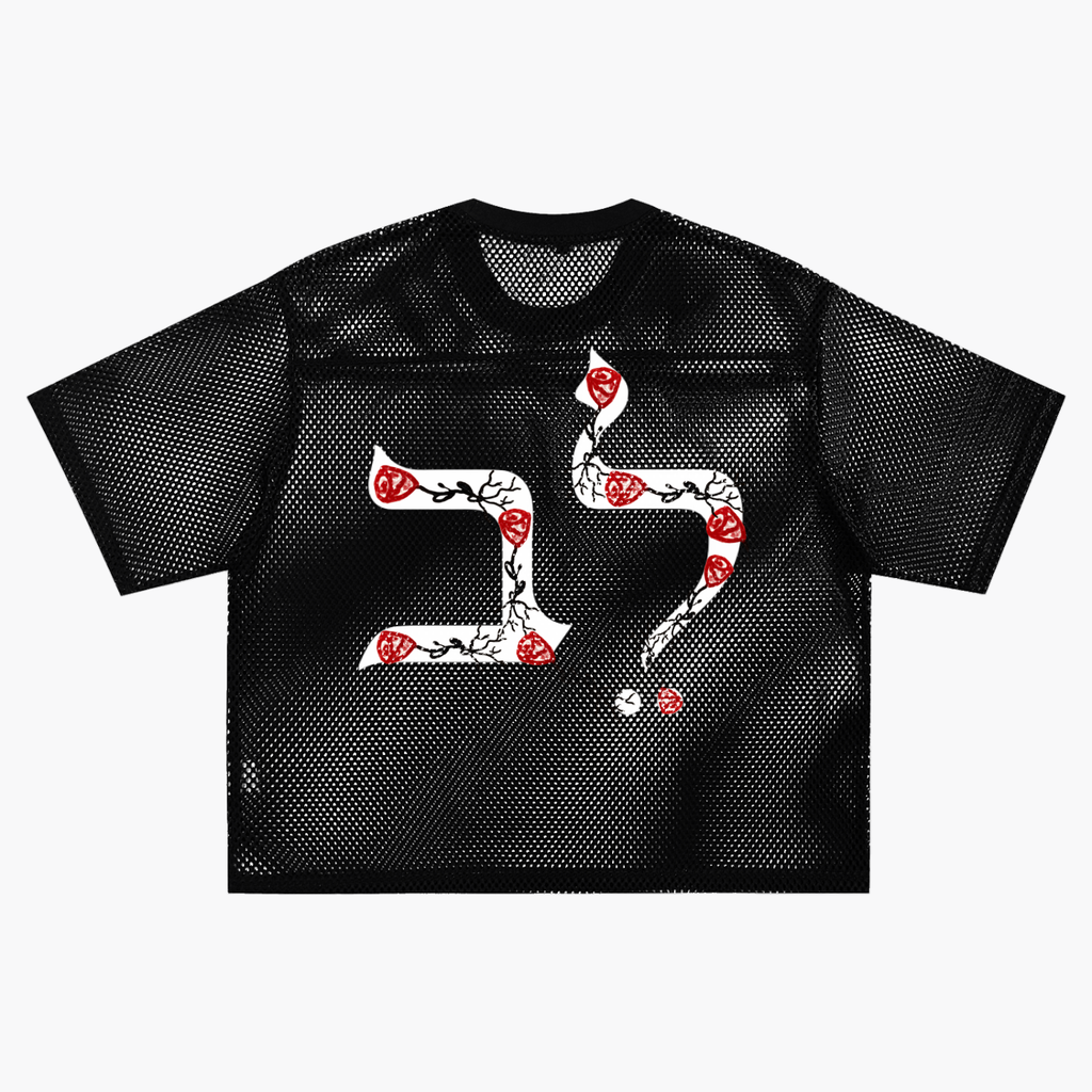 "Lev" See-through Boxy Net T-Shirt