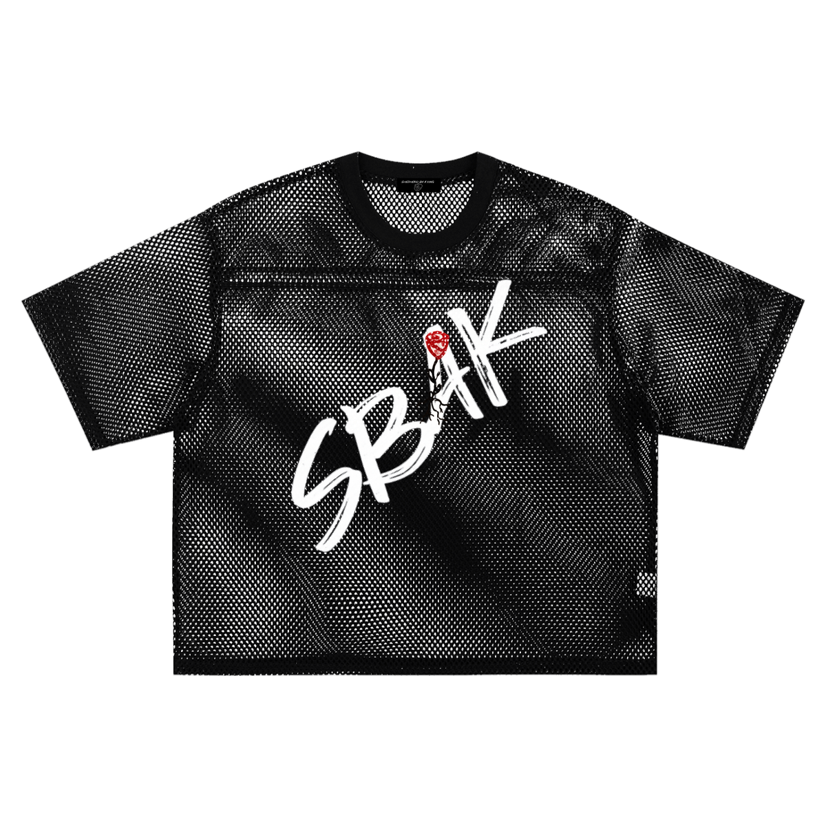 "Lev" See-through Boxy Net T-Shirt